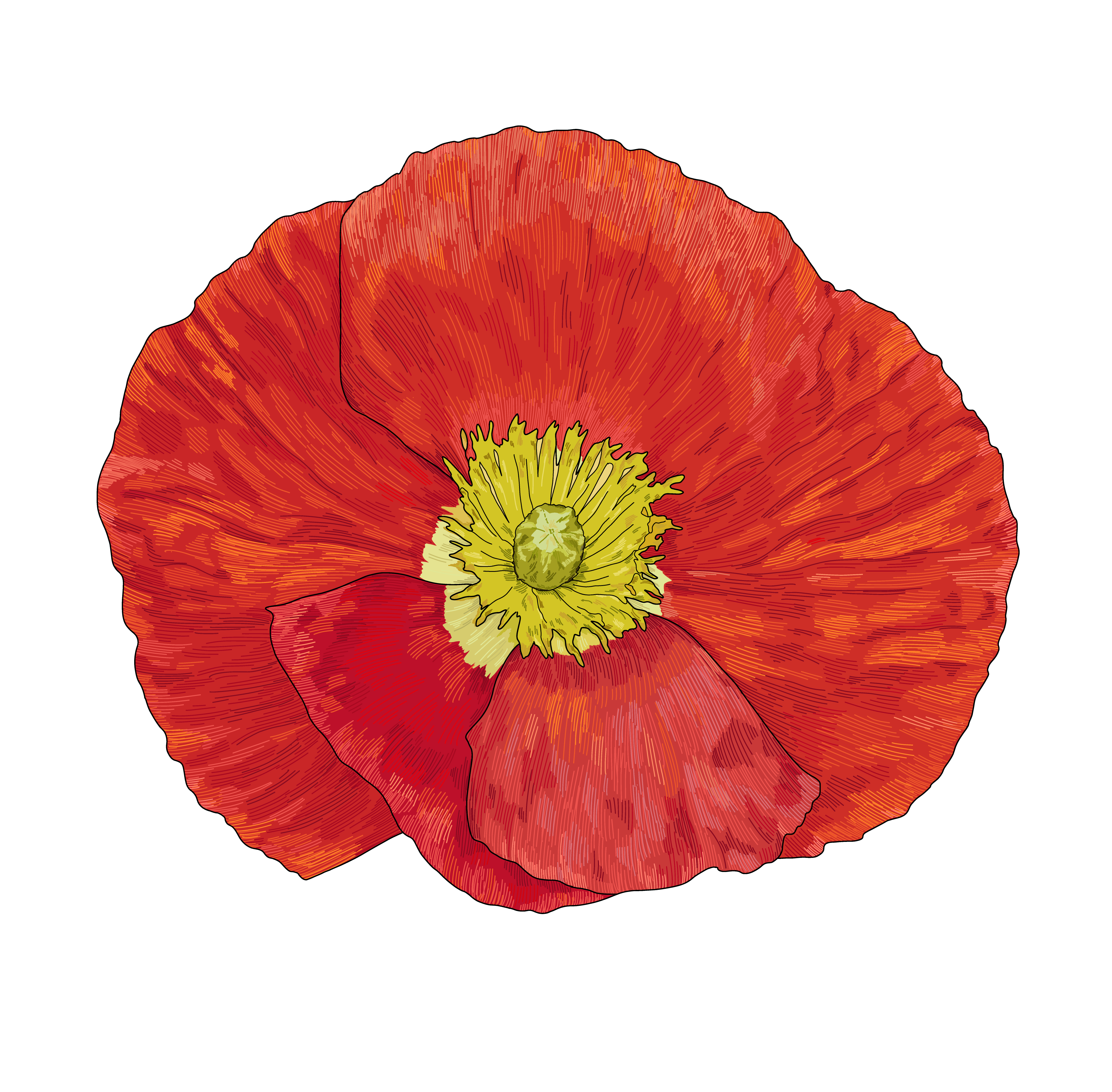 Poppies & Propofol